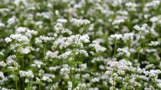 Respecter les bonnes pratiques