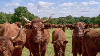 Sabot d’or pour le Gaec du petit Montarlot
