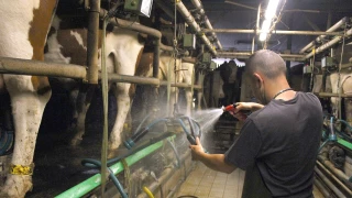 Des consommations d'énergies contrastées selon les systèmes