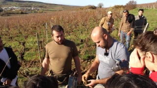 Les sols du vignoble auscultés