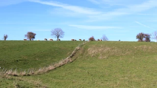 Un levier de résilience face aux aléas climatiques