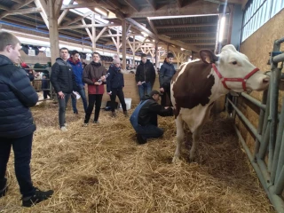 Une journée conviviale autour de la Montbéliarde