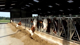 Des marges de progrès, malgré une année 2024 difficile