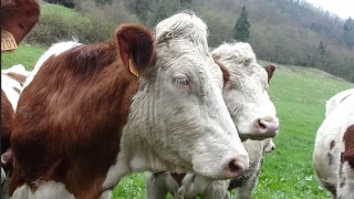 Fonds d'urgence débloqué, dépôt des dossiers avant le 20 février
