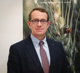 L'actualité régionale des productions végétales